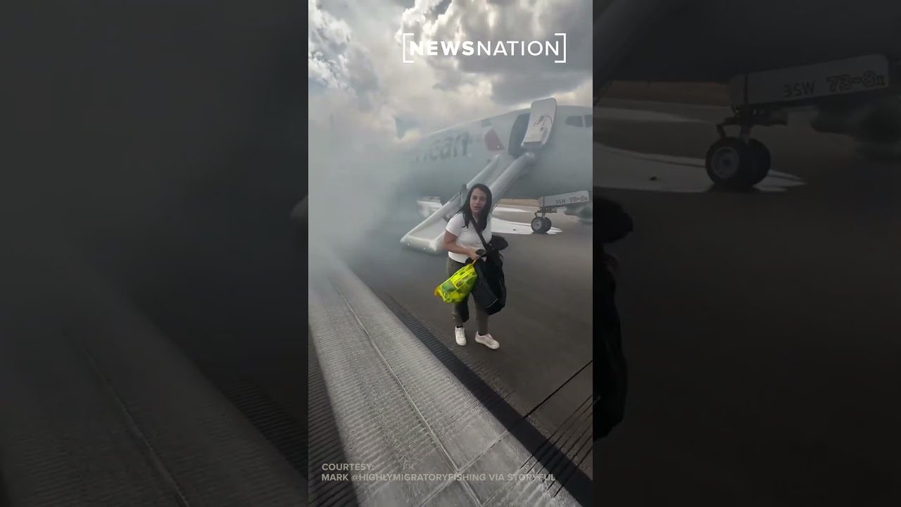 Passengers Evacuate American Airlines Flight After Landing Gear Fire