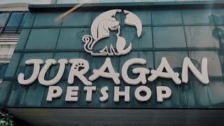 JURAGAN PET SHOP BOGOR JUAL KUCING ANJING HARGA MASUK AKAL-DOG FOOD & CAT FOOD TERLENGKAP DI BOGOR by Putra Fajar 88 536 views 6 days ago 14 minutes, 19 seconds