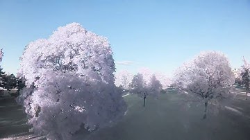Infrared FPV pt3 (Armattan Japalura, Runcam Split, no IR filter)