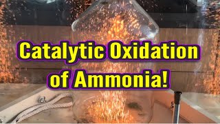 Catalytic Oxidation of Ammonia with Cr2O3!🔥 4NH3+3O2 → 2N2+6H2O #STEM #RamZland #Science #Chemistry