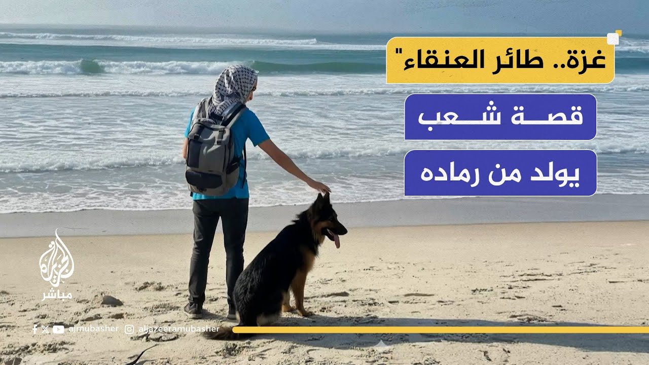"غزة.. طائر العنقاء" قصة شعب يولد من رماده .. فيلم للمخرجة التركية كبرى كوروعلي