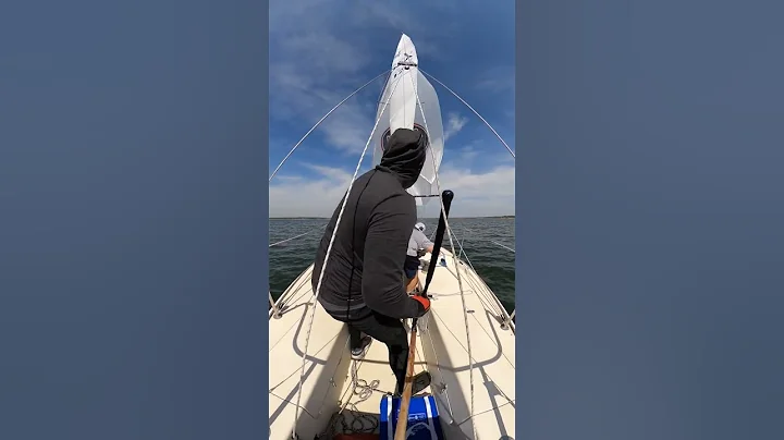 2023 J24 Gold Rush Regatta Gybe #entertainment #life #sailing #racing #sports #boat #school #yacht