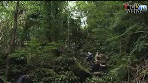 Sarawak, The Land of the Hornbills
