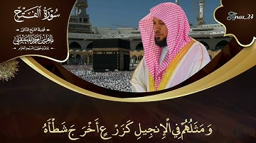 {محمد رسول الله} ترتيل بديع ومزدان لفضيلة الشيخ د. #ماهر_المعيقلي من #سورة_الفتح Anas_24#