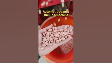 Automatic peanut shelling machine#peanut#peanut shelling machine#shelling machine