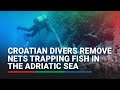 Croatian divers remove nets trapping fish in the Adriatic Sea