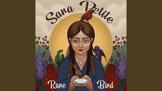 Vignette de la vidéo "Sara Petite - Rare Bird"