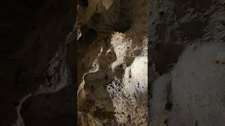 Почему в пещере Таврида сваи #природа #крым #пещера