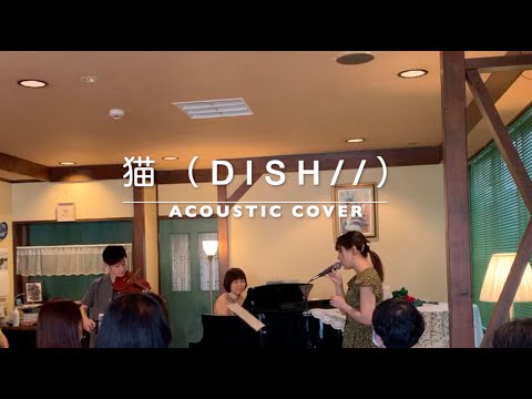 猫（DISH//）／Vocal, Violin & Piano - アコースティック Cover