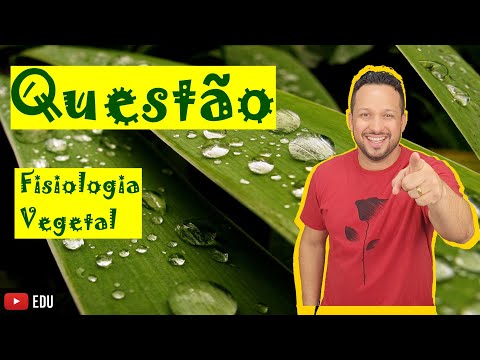 Vídeo: Em plantas herbáceas ocorre a gutação?