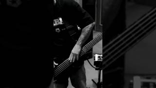 Can Fieldy Actually Play Bass