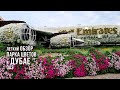 Парк цветов в Дубае / Dubai Miracle Garden / 2022 / Легкое видео под музыку