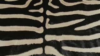 Rug & Kilims Contemporary Burchell Zebra Hide With Classic Black Stripes - 37349