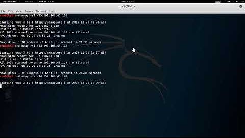 Exploring Various Network Scanning Techniques