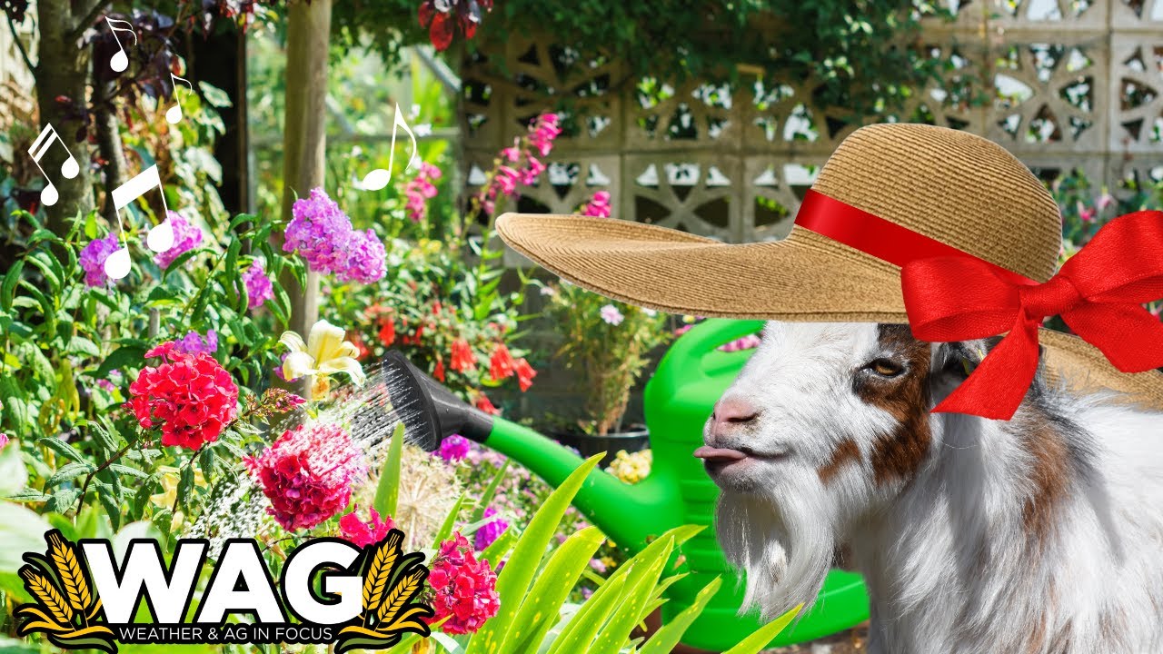 Lawn and Garden Radio YouTube