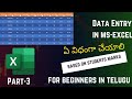డాటా ఎంట్రీ ఏ విధంగా చేస్తారు || Data Entry in MS-EXCEL in telugu