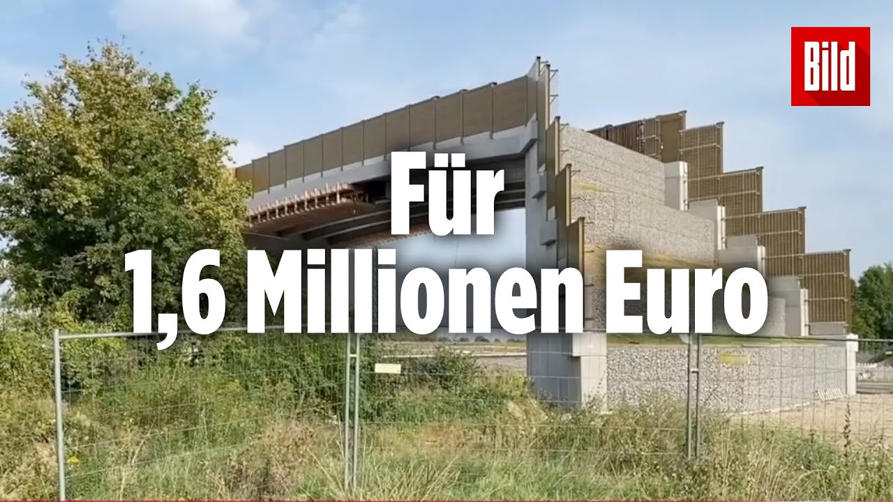 Deutsche Bahn baut Fledermaus-Brücke, obwohl ihr Nutzen nicht belegt ist