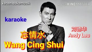 Wang Cing Shui - Andy Lau karaoke
