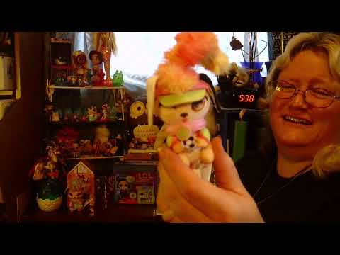 Present Pets Minis