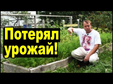 Потерял урожай из-за мульчи! Не повторяйте моих ошибок