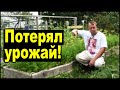 Потерял урожай из-за мульчи! Не повторяйте моих ошибок