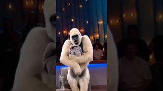 Download Lagu THE BABY IS NOT YOURS! GORILLA REACTS ON LIVE TV! #shorts MP3