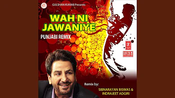 APNA PUNJAB HOVEI - REMIX