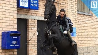 Почтальонша на коне вернулась из Китая Почтальонша на коне вернулась из Китая