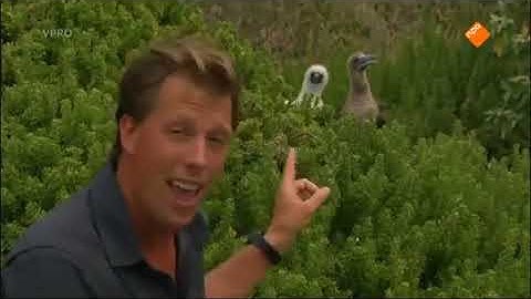 Freeks wilde wereld  Dieren die niet vluchten