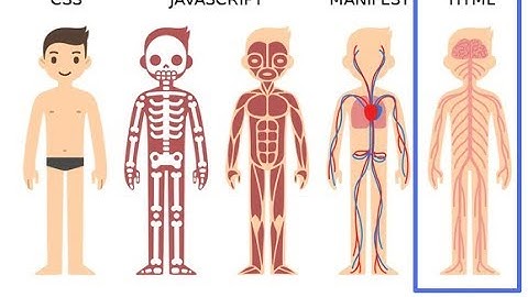 What is HTML? The brain of KaiOS apps - OmniSD in deep - BananaHackers