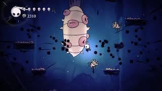 Hollow Knight Flukemarm Easy