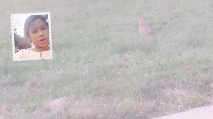 Keana we found a bunny