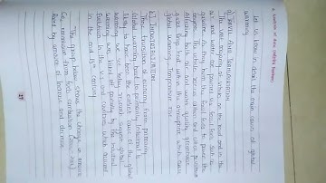 Global warming. EVS project.