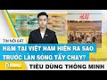 H&M tại Việt Nam hiện ra sao trước làn sóng tẩy chay ? | Tiêu dùng thông minh | FBNC