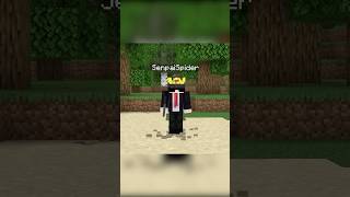 Why NizGamer Can NEVER Come Back in Lapata SMP