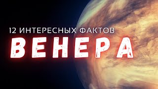 Венера интересные факты \ Планеты солнечной системы.