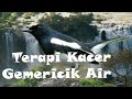 Terapi Poci Kacer Suara Air Kemricik Masteran Burung Mp3 - Mp4 Download