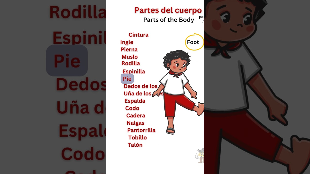 Parts of the Body, in Spanish. part 2 #spanish #learnspanish #aprendeespa&ntilde;ol