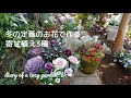 冬のお庭を明るくする葉ボタン、ビオラ、ネメシアなどで作る寄せ植え／素敵なお花は毎日眺めたくなります♪／ガーデニング／お庭づくり／小さな庭