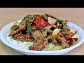 Mongolisches Rindfleisch gebraten mit Frühlingszwiebeln in asiatischer Sauce-mongolian beef stir fry