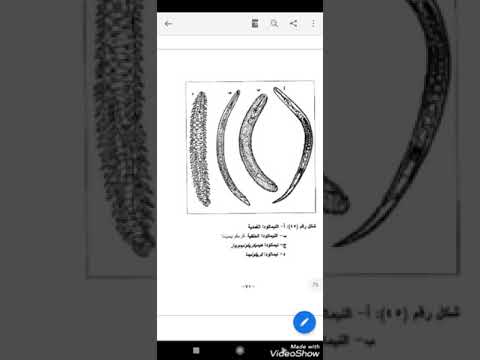 المكافحة المتكاملة للنيماتودا الديدان الثعبانية 