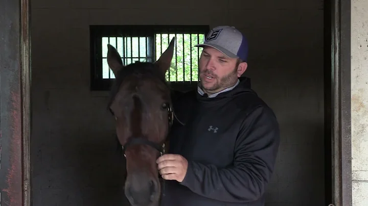 Ohio Harness Horsemen's Association Presents Fresh...