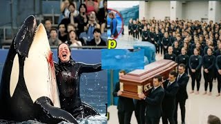 Periscope Live broadcast Vlogs | Orca trainer Jessica | bigo live