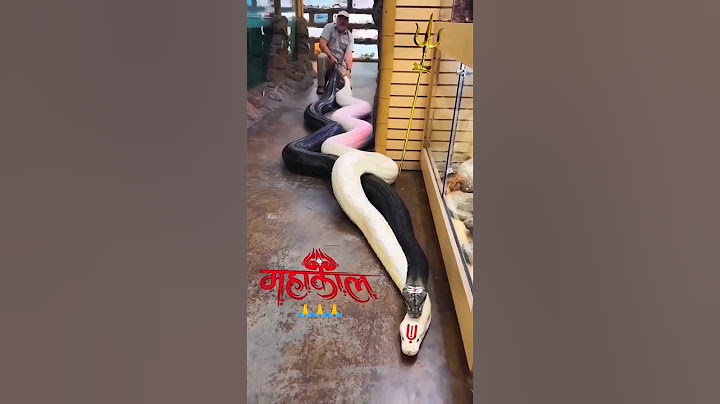 Jai Mahakal🙏🙏🙏 #shorts #snake #mahadev #hindudeity #shankar #trending #shiv #viral #youtubeshorts