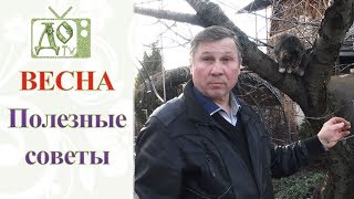 ВЕСНА 2019 / ЧТО ВАЖНО ПОМНИТЬ САДОВОДАМ и ОГОРОДНИКАМ