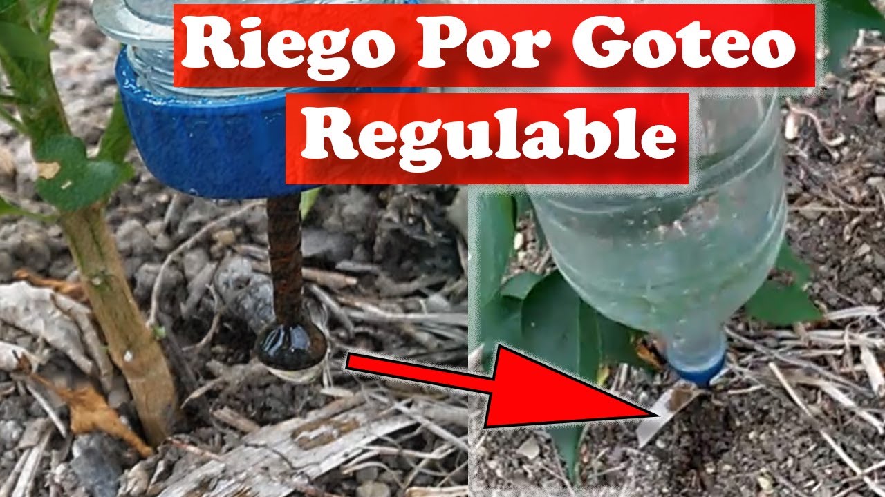 Como Hacer Un Riego Artificial Casero www.youtube.com