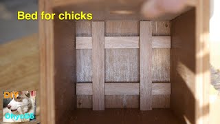 Bed for chicks