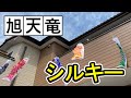 第１３弾　あげてみた動画【旭天竜】シルキー鯉のぼり
