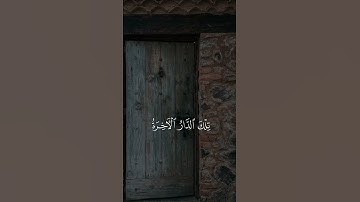 تلاوة ندية للشيخ سعد الغامدي #quran