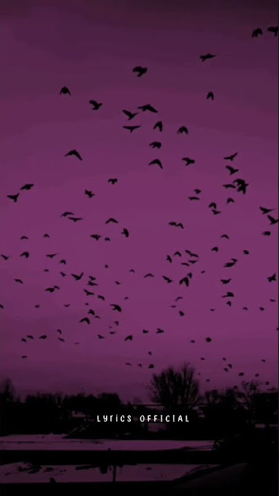 CKAY - Love Nwantiti x Tujh Mein Rab Dikhta Hai. ...  #whatsapp_status #english_whatsapp_status